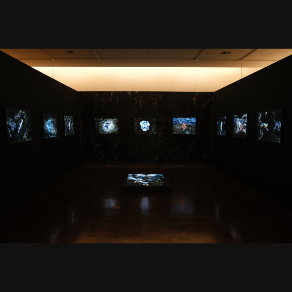 KG＋SELECTの展示風景