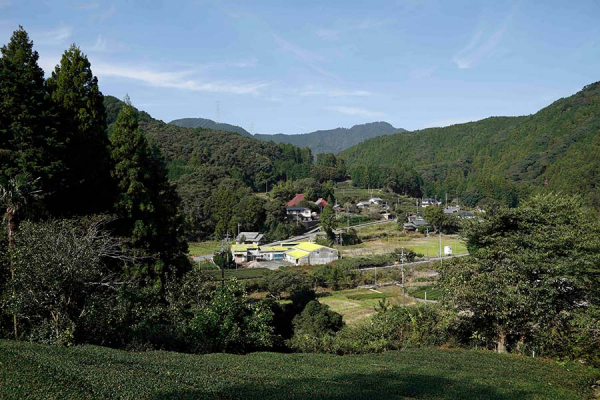 原泉の風景